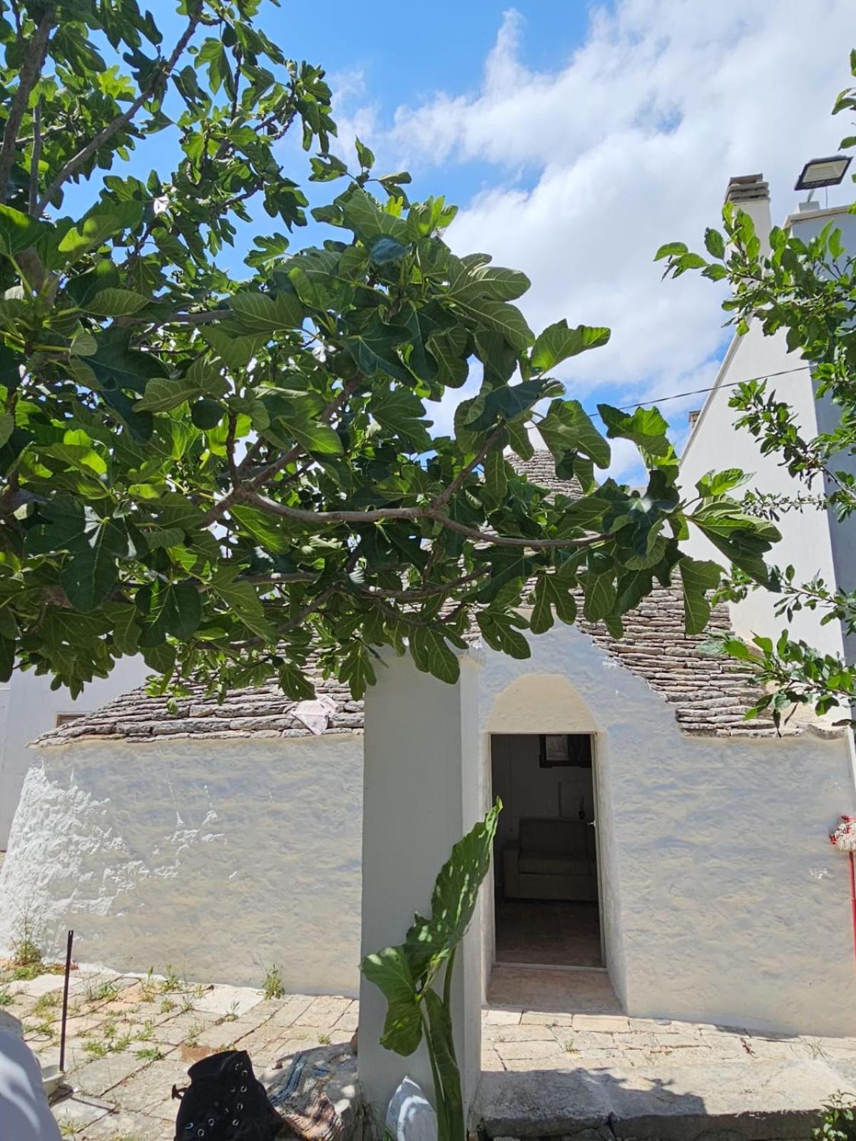 River Trulli Oasi Di Pace In Sito Unesco Alberobello Exteriér fotografie