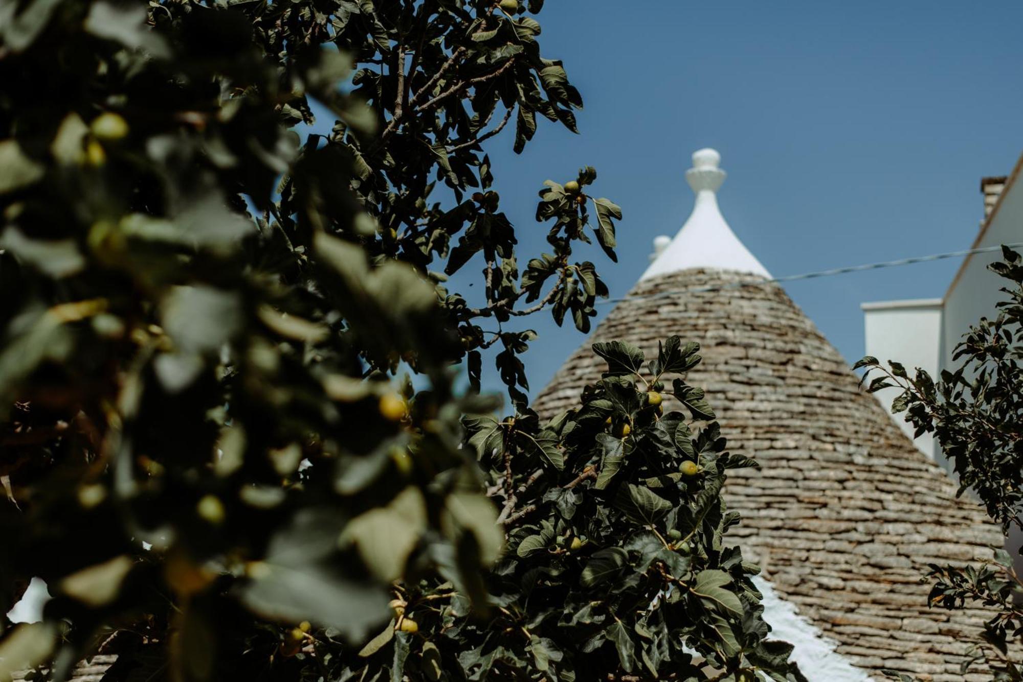 River Trulli Oasi Di Pace In Sito Unesco Alberobello Exteriér fotografie
